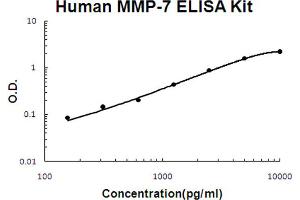 Human MMP-7 Accusignal ELISA Kit Human MMP-7 AccuSignal ELISA Kit standard curve. (MMP7 ELISA Kit)