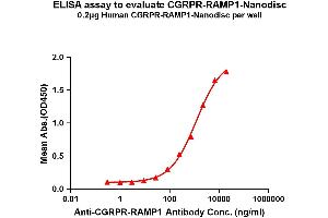 ELISA image for Calcitonin Receptor-Like (CALCRL) protein (ABIN7538154)