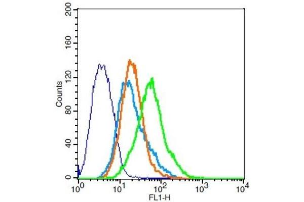 CCR10 antibody  (AA 1-52)