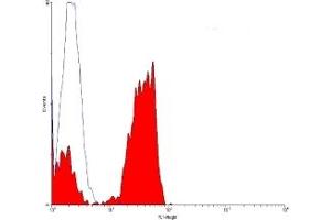 ABIN119501 staining lymphocytes. (CD2 antibody  (FITC))