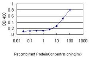 Detection limit for recombinant GST tagged SIRT2 is approximately 0. (SIRT2 antibody  (AA 128-227))