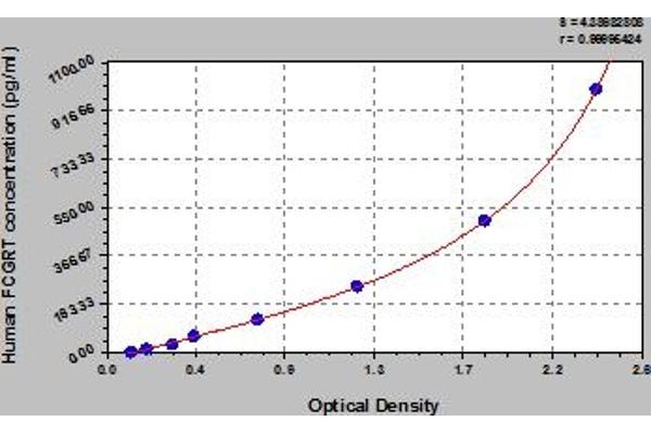 FcRn ELISA Kit