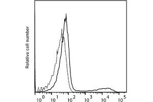 Detection of IFN-ү by flow cytometry in viable cotton rat spleen cells. (Interferon gamma antibody  (PromoFluor 647 Premium))
