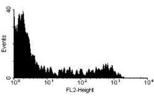 Flow Cytometry (FACS) image for anti-CD8b Molecule (CD8B) antibody (PE) (ABIN2472576) (CD8B antibody  (PE))