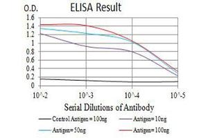 Black line: Control Antigen (100 ng),Purple line: Antigen (10 ng), Blue line: Antigen (50 ng), Red line:Antigen (100 ng) (P2RY1 antibody)