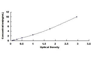 Tryptophan Hydroxylase 2 ELISA Kit