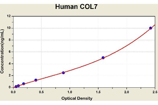 COL7A1 ELISA Kit