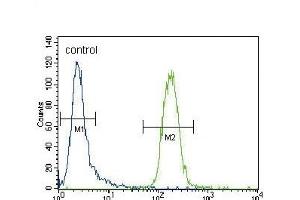 CYP3A4 Antibody (Center) ABIN392216 flow cytometric analysis of CEM cells (right histogram) compared to a negative control cell (left histogram). (CYP3A4 antibody  (AA 228-255))