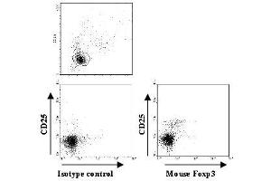 Flow Cytometry (FACS) image for anti-Forkhead Box P3 (FOXP3) antibody (Biotin) (ABIN2853612) (FOXP3 antibody  (Biotin))