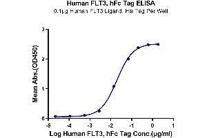 ELISA image for Fms-Related tyrosine Kinase 3 (FLT3) (AA 27-541) protein (Fc Tag) (ABIN7274657)