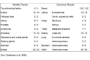Table 1. (Mucin-Like Carcinoma Antigen (MCA) antibody)
