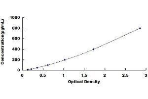 ELISA image for Oxidized Low Density Lipoprotein (Lectin-Like) Receptor 1 (OLR1) ELISA Kit (ABIN1571060) (OLR1 ELISA Kit)