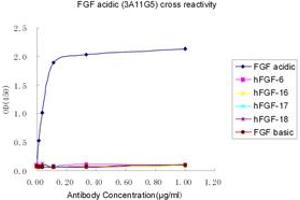 Image no. 2 for anti-FGF acidic antibody (ABIN1574161) (FGF acidic antibody)