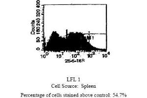 Mouse anti MHC Class II I-Ab 25. (MHC Class II I-Ab antibody  (Biotin))