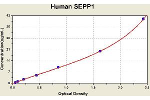 Diagramm of the ELISA kit to detect Human SEPP1with the optical density on the x-axis and the concentration on the y-axis. (SEPP1 ELISA Kit)