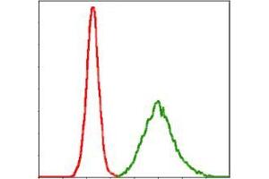 Flow cytometric analysis of MCF-7 cells using KCNQ1 mouse mAb (green) and negative control (red). (KCNQ1 antibody)