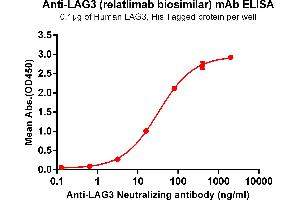 ELISA plate pre-coated by 1 μg/mL (100 μL/well) Human , His tagged protein ABIN6964105, ABIN7042465 and ABIN7042466 can bind Anti- Neutralizing antibody (ABIN7093078 and ABIN7272608) in a linear range of 0. (Recombinant LAG3 (Relatlimab Biosimilar) antibody)