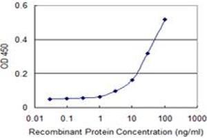 Detection limit for recombinant GST tagged RXRB is 1 ng/ml as a capture antibody. (Retinoid X Receptor beta antibody  (AA 161-260))