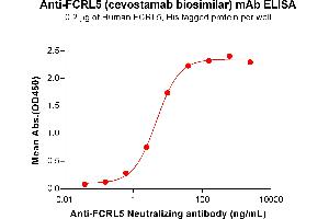 ELISA plate pre-coated by 2 μg/mL (100 μL/well) Human F Protein, His Tag ABIN7092781, ABIN7272386 and ABIN7272387 can bind Anti-F Neutralizing antibody (ABIN7477992 and ABIN7490924) in a linear range of 0. (Recombinant FCRL5 (Cevostamab Biosimilar) antibody)