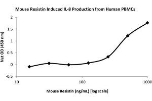 SDS-PAGE (SDS) image for Resistin Dimer protein (ABIN6700464)