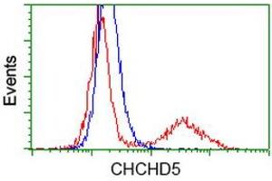 Image no. 1 for anti-Coiled-Coil-Helix-Coiled-Coil-Helix Domain Containing 5 (CHCHD5) antibody (ABIN1497491) (CHCHD5 antibody)