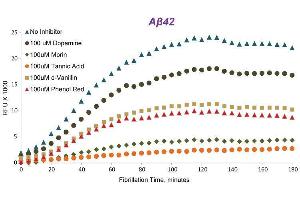 ELISA image for SensoLyte® Thioflavin T beta-Amyloid (1-42) Aggregation Kit (ABIN1882563) (SensoLyte® Thioflavin T beta-Amyloid (1-42) Aggregation Kit)