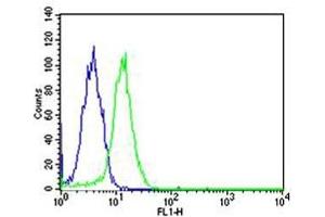 Flow cytometric analysis of HeLa cells using SP1 antibody (green) and an isotype control of mouse IgG1 (blue) (SP1 antibody)