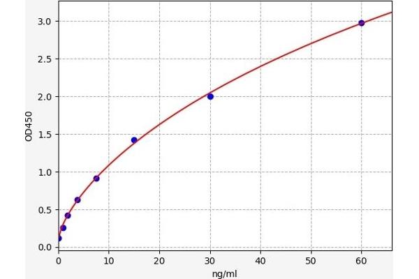 Coagulation Factor X ELISA Kit