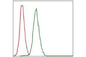 Flow Cytometry (FACS) image for anti-Replication Protein A1, 70kDa (RPA1) antibody (ABIN969564)