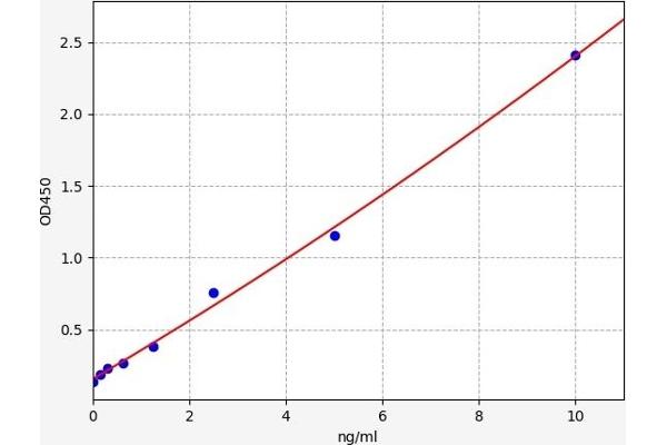 DKK3 ELISA Kit