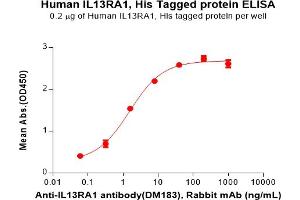 ELISA plate pre-coated by 2 μg/mL (100 μL/well) Human IL13RA1 Protein, His Tag(ABIN6964113, ABIN7042481 and ABIN7042482) can bind Anti-IL13RA1 antibody(DM183), Rabbit mAb in a linear range of 0. (IL13 Receptor alpha 1 Protein (AA 23-343) (His tag))