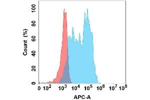 Flow cytometry analysis with Anti-L1 on Expi293 cells transfected with human L1 (Blue histogram) or Expi293 transfected with irrelevant protein (Red histogram). (CHI3L1 antibody)