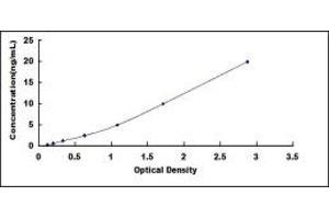 HCN4 ELISA Kit