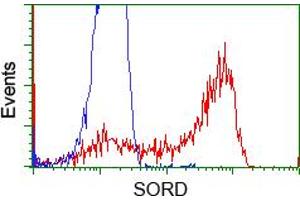 Flow Cytometry (FACS) image for anti-Sorbitol Dehydrogenase (SORD) antibody (ABIN1501073) (SORD antibody)