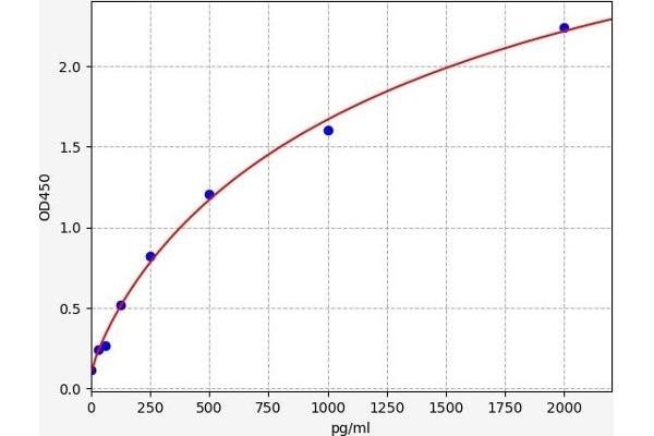 HDGF ELISA Kit