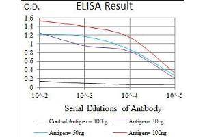 ELISA image for anti-Mitochondrial Ribosomal Protein L42 (MRPL42) (AA 142-203) antibody (ABIN1724803)