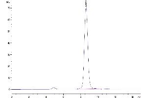 The purity of Biotinylated Human FGFR2 beta (IIIc) is greater than 95 % as determined by SEC-HPLC. (FGFR2 beta (AA 152-377) protein (His-Avi Tag,Biotin))