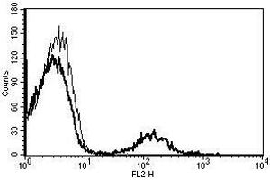 A typical staining pattern with the B-C3 monoclonal antibody of lymphocytes (CD19 antibody  (Biotin))