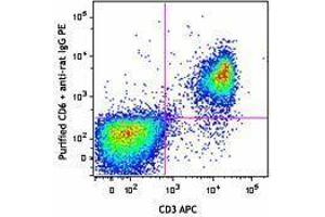 Flow Cytometry (FACS) image for anti-CD6 (CD6) antibody (ABIN2664784) (CD6 antibody)