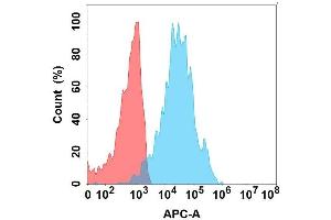 Flow cytometry analysis with Anti- on Expi293 cells transfected with human (Blue histogram) or Expi293 transfected with irrelevant protein (Red histogram). (LI Cadherin antibody)