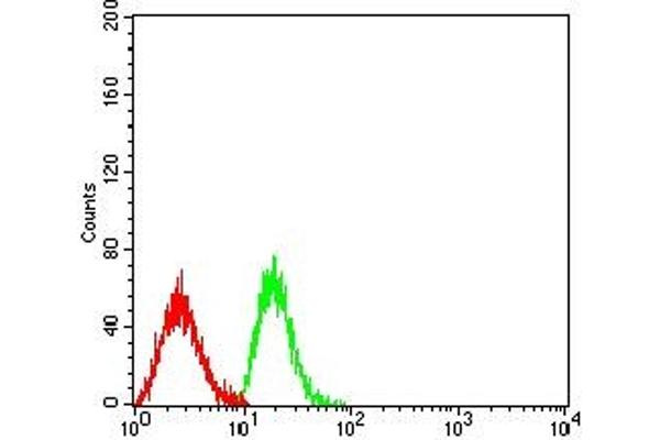 CLEC9A antibody  (AA 57-241)