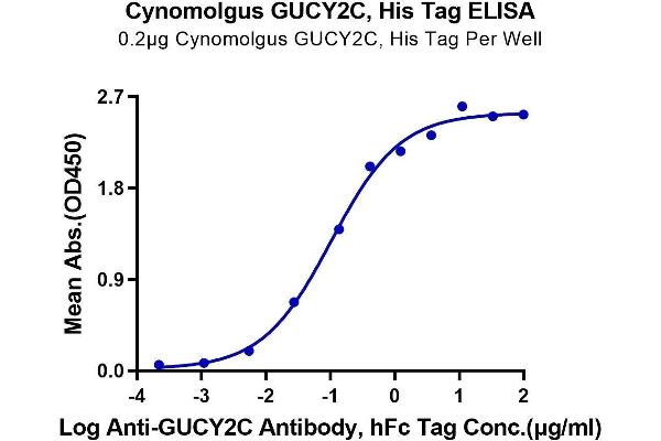 GUCY2C Protein (AA 24-430) (His tag)