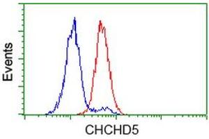 Image no. 3 for anti-Coiled-Coil-Helix-Coiled-Coil-Helix Domain Containing 5 (CHCHD5) antibody (ABIN1497491) (CHCHD5 antibody)