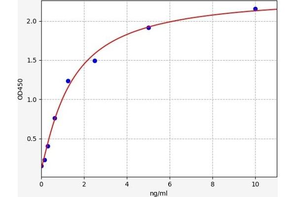 TRKB ELISA Kit