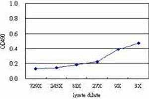 Sandwich ELISA detection sensitivity ranging from approximately 81x to 3x dilution of the ZNF496 293T overexpression lysate (non-denatured). (ZNF496 (Human) Matched Antibody Pair)