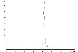 Size-exclusion chromatography-High Pressure Liquid Chromatography (SEC-HPLC) image for CD3E & CD3G (AA 23-126) protein (Fc Tag) (ABIN7274152)