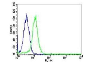 Flow cytometric analysis of HeLa cells using SP1 antibody (green) and an isotype control of mouse IgG1 (blue); Ab was diluted at 1:25 dilution. (SP1 antibody)