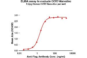 ELISA image for Chemokine (C-C Motif) Receptor 7 (CCR7) protein (ABIN7491568)