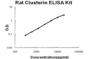 Rat Clusterin PicoKine ELISA Kit standard curve (Clusterin ELISA Kit)