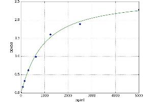 Ribokinase ELISA Kit